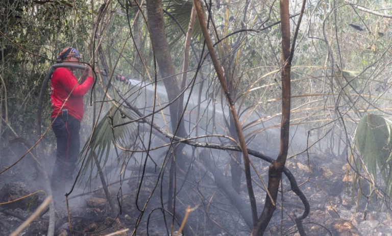 Combaten 3 incendios activos en Benito Juárez