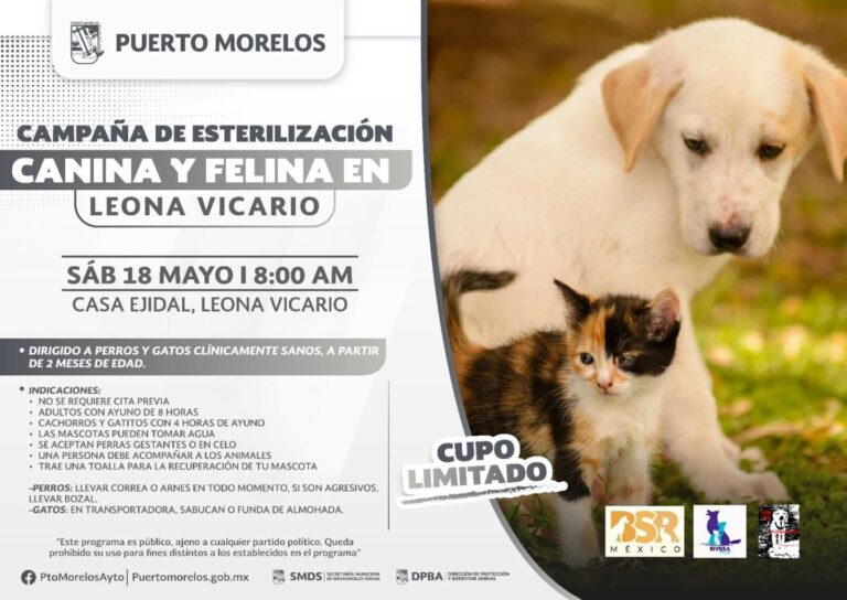 CAMPAÑA DE ESTERILIZACIÓN CANINA Y FELINA